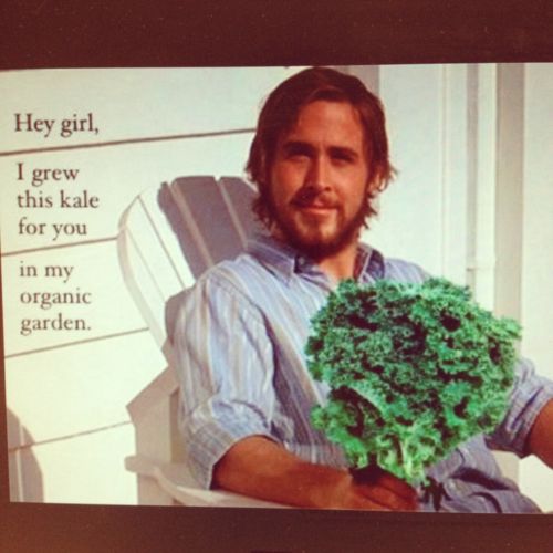 Funny Gardening Memes | Gardening Forums