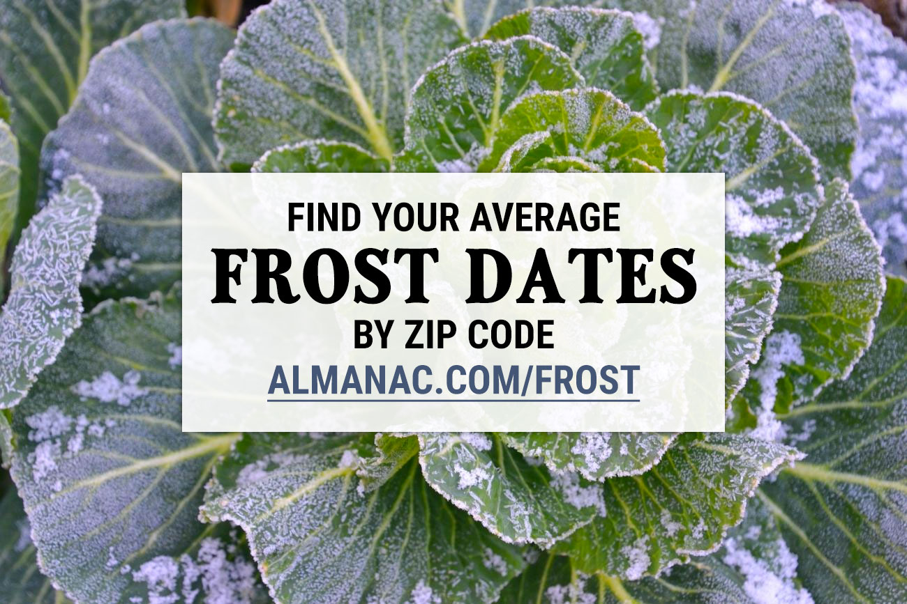www.almanac.com