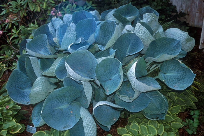 WEB-000121.jpg