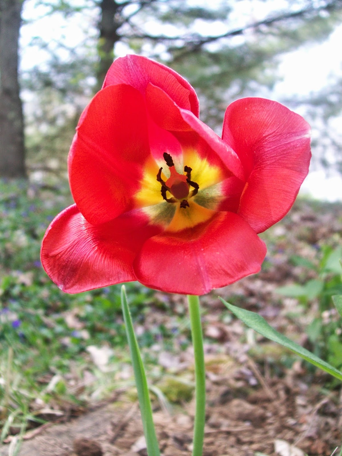 100_5473.JPG
