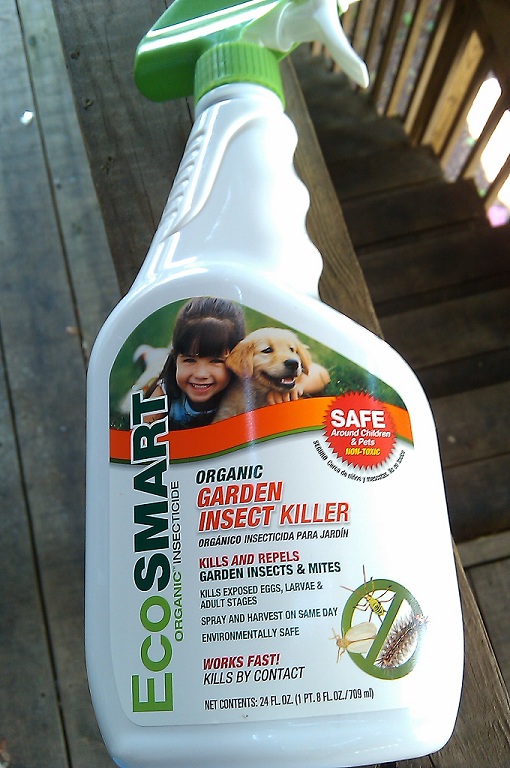 Insect+killer.jpg