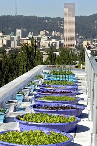 portlandroof.jpg