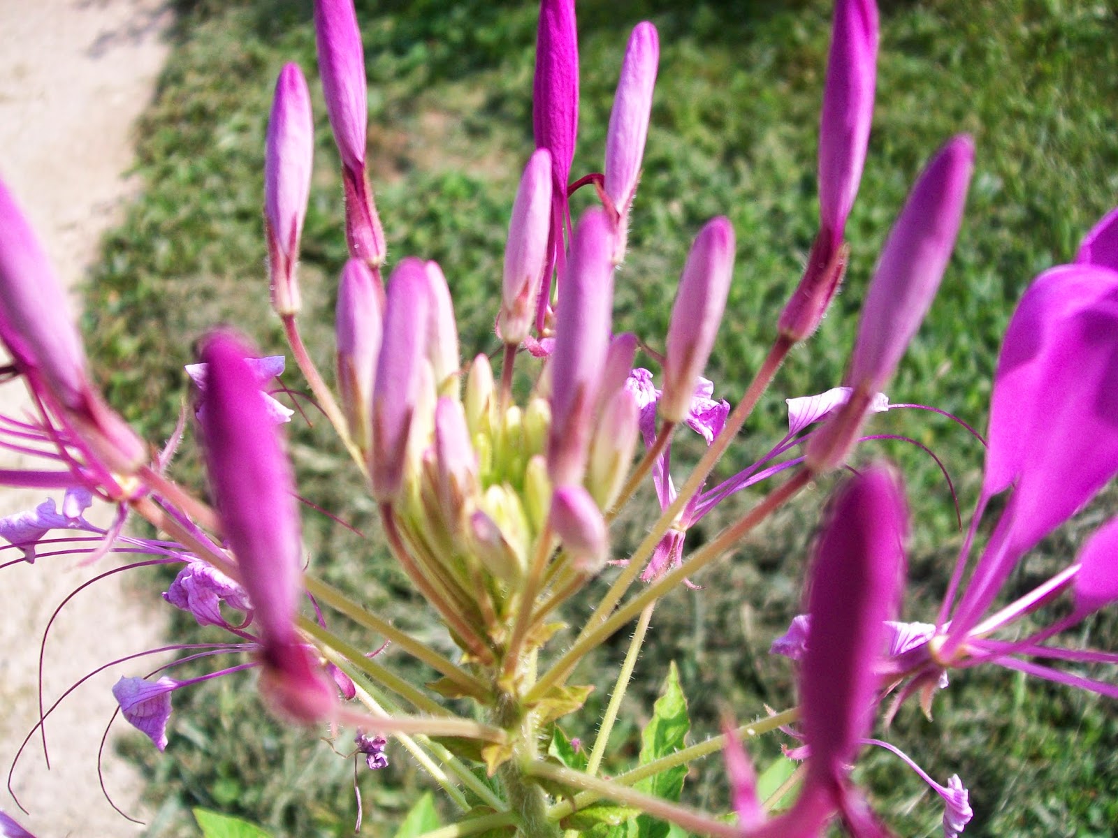 100_6461.JPG