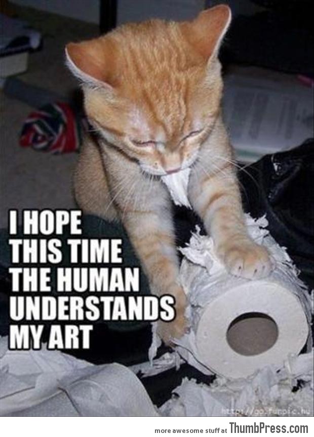 Funny-Animal-Pictures-14.jpg