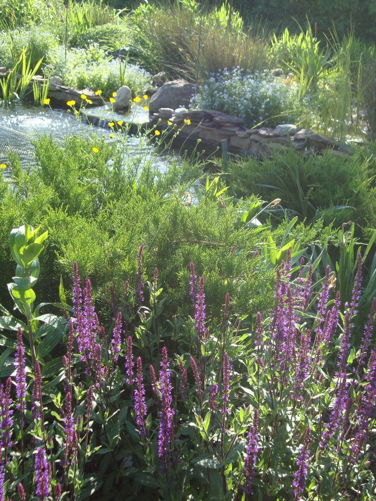 DSC03219-1.jpg