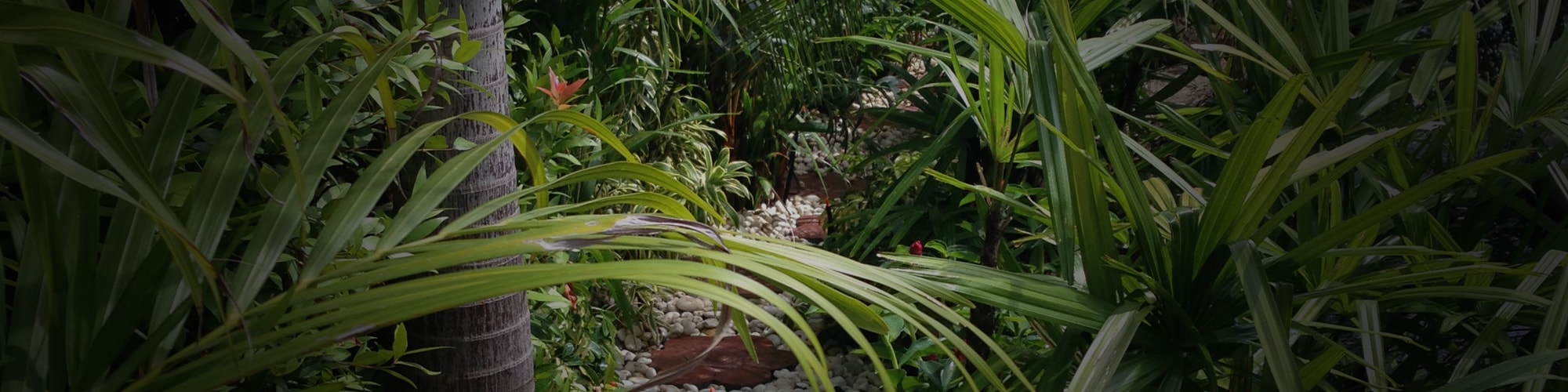 www.thaigardendesign.com