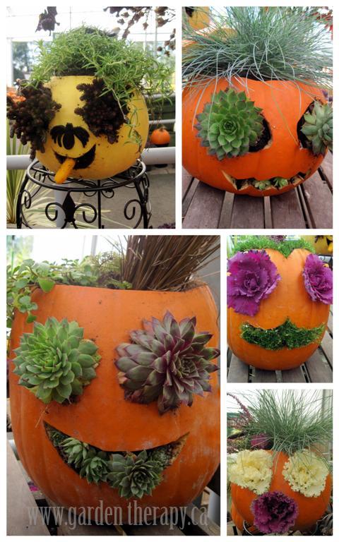 Jack-o-Lantern-Planters-with-Sedum-and-Kalec.jpg