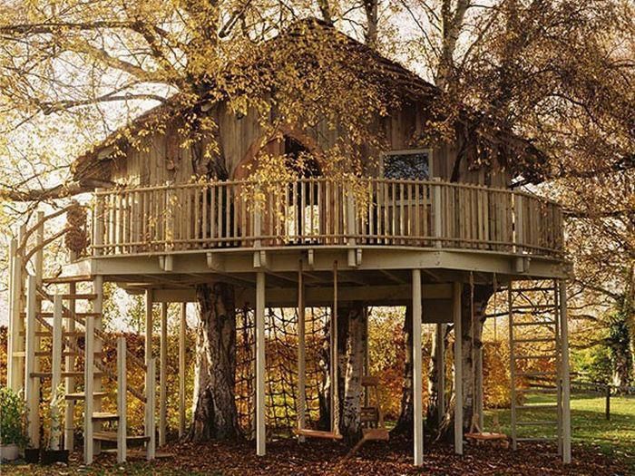 tree_house_08.jpg