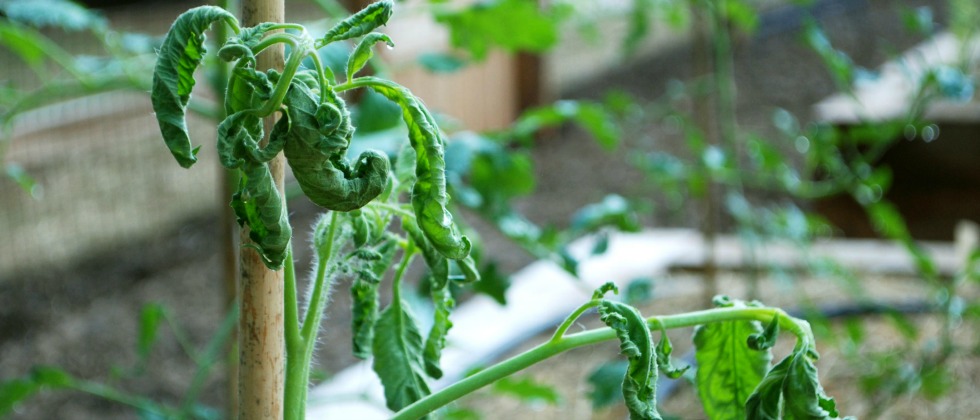 www.growingagreenerworld.com