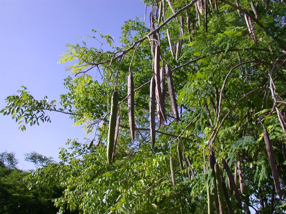 image001.jpg