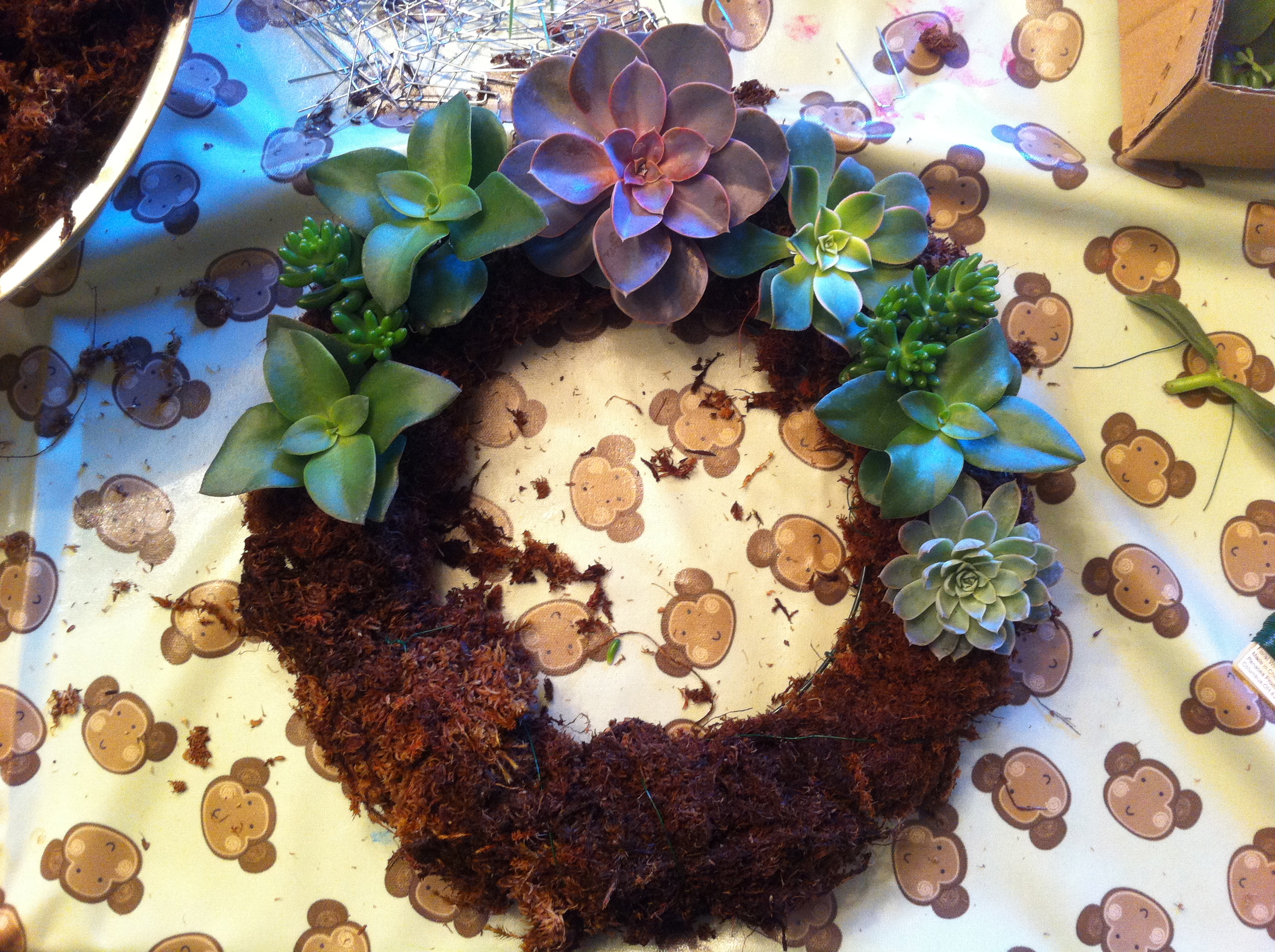 diy-succulent-wreath-progress.jpg