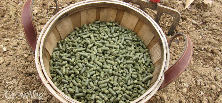 www.growveg.com