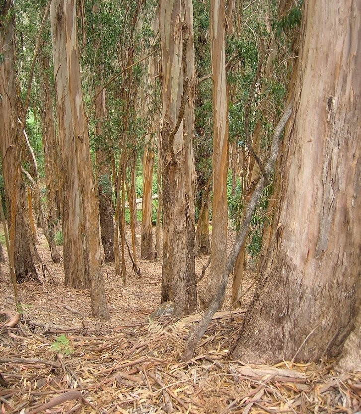ucanr.edu