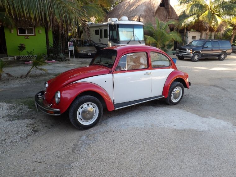 bug1013_zps3cab61fb.jpg