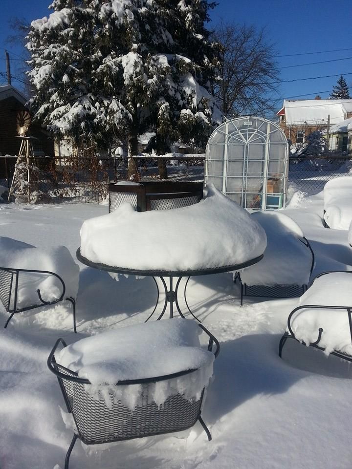 snowfeb15.jpg