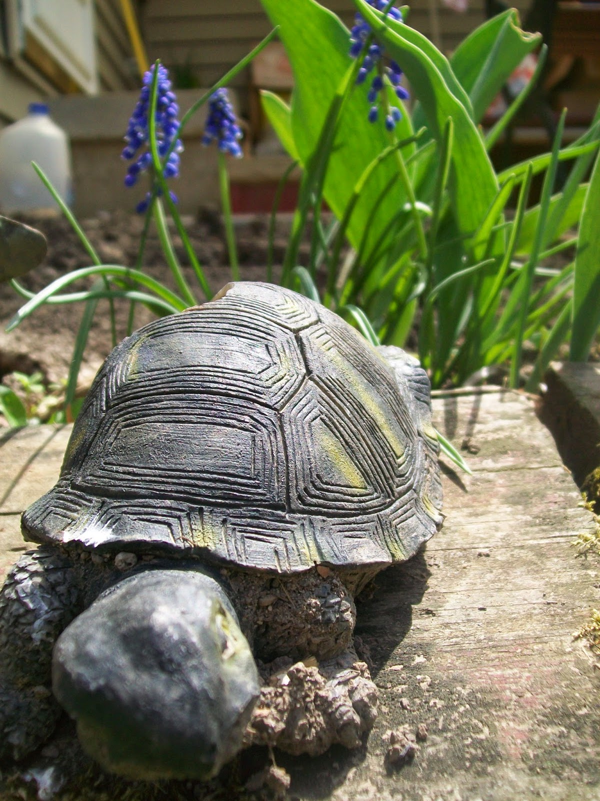 100_5471.JPG