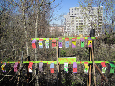 12623948-large.jpg