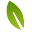 gardenseedsmarket.com