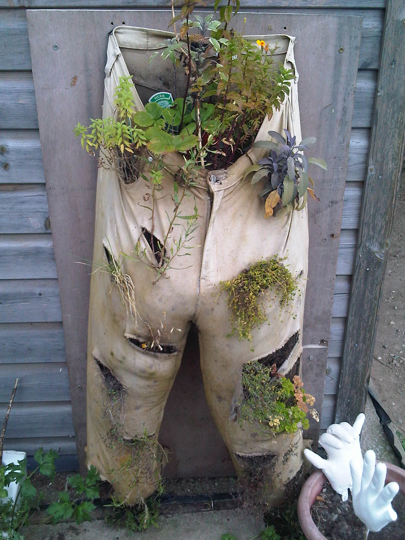 pants-planters.jpg