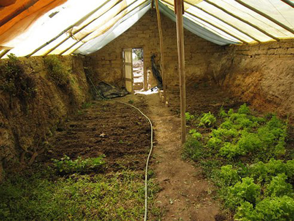 walipini-greenhouse.jpg
