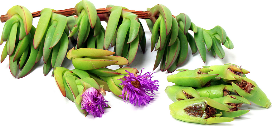 www.specialtyproduce.com