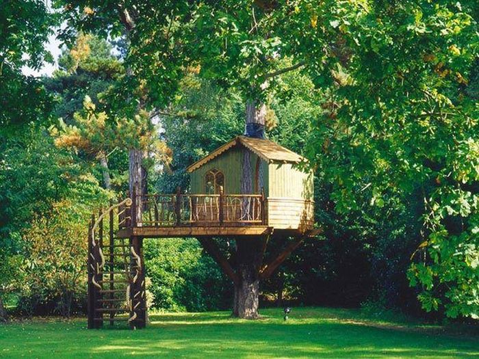 tree_house_19.jpg