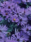 SAW_00422.JPG