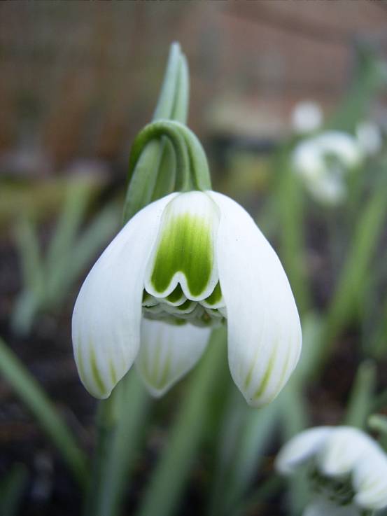 image002.jpg