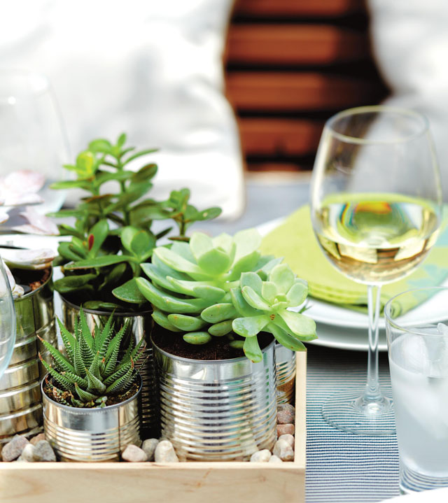 succulent-centerpiece-1.jpg