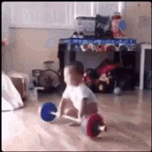 winner-yes.gif