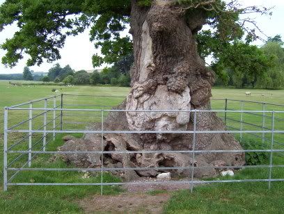 westdeanecologycourse007.jpg
