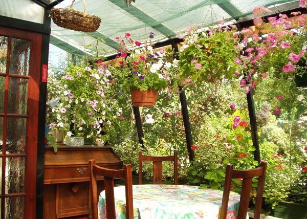 fall_sunroom-1.jpg
