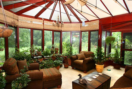 Sunroom-Potted-Plants.jpg