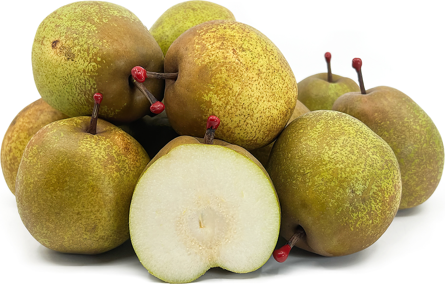 specialtyproduce.com