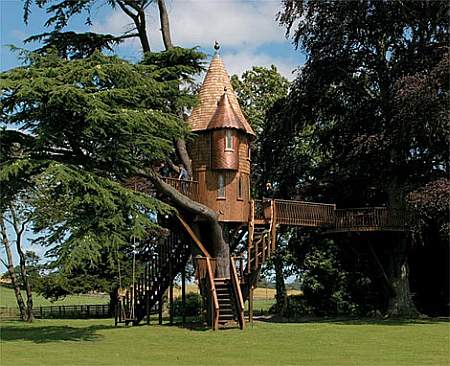 treehouse.jpg