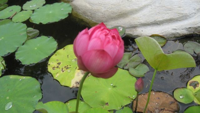 IMG_3180.jpg