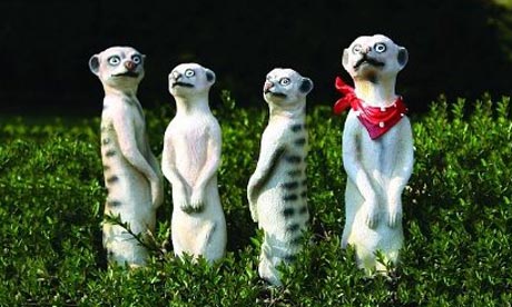 Wobbling-meerkat-garden-o-001.jpg