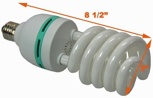 416a5zwm2xL.jpg