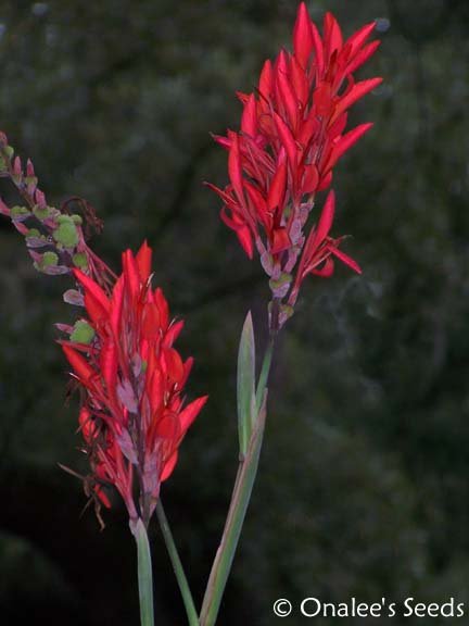 2772_pd1741898_2.jpg