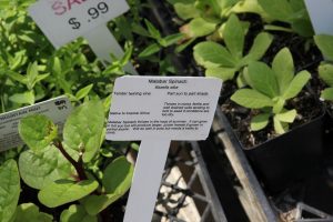 wimastergardener.org