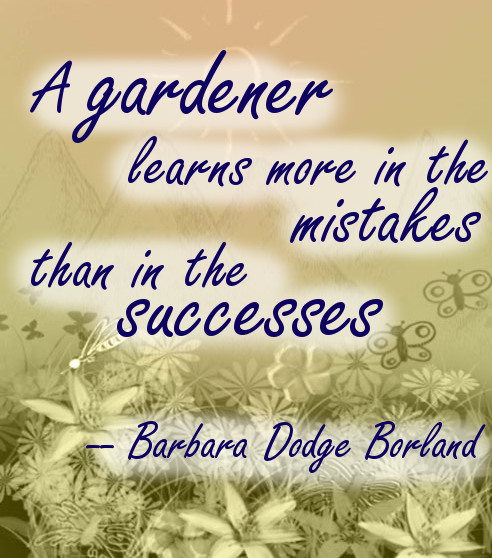 quote3.jpg
