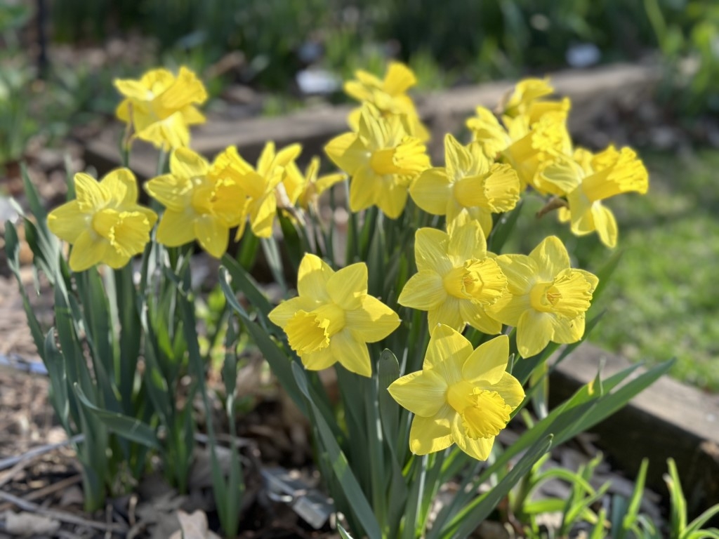 www.emsgarden.com