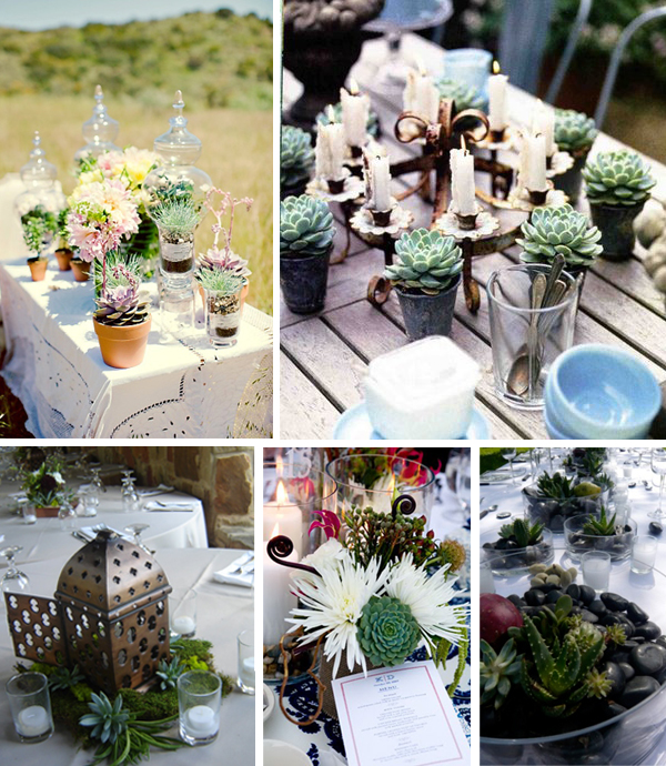 Succulent-centrepiece.jpg