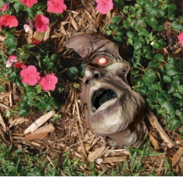 Zombie%20garden.jpg