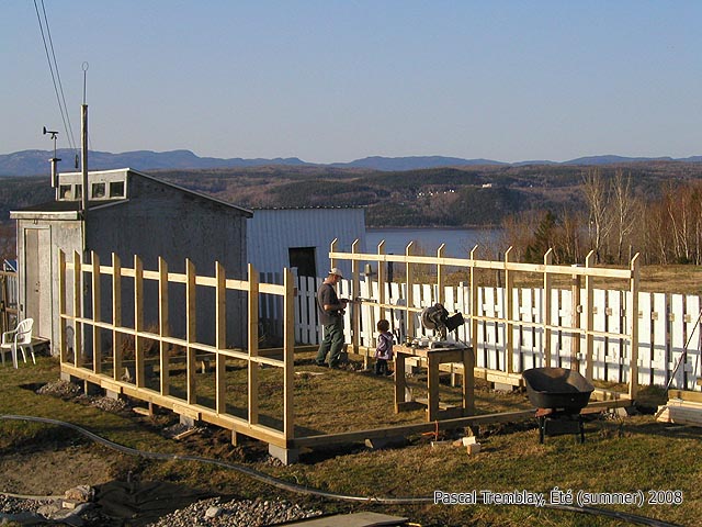 greenhouse-backyard-greenhouse.jpg