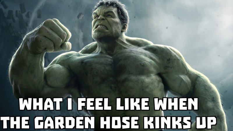 hulk3-jpg.4880