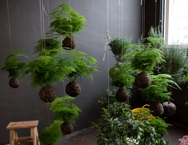 string-garden-2.jpg