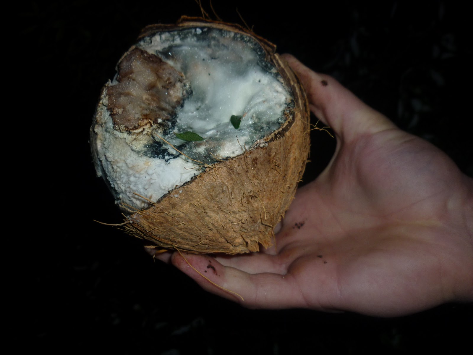 P1010713.JPG