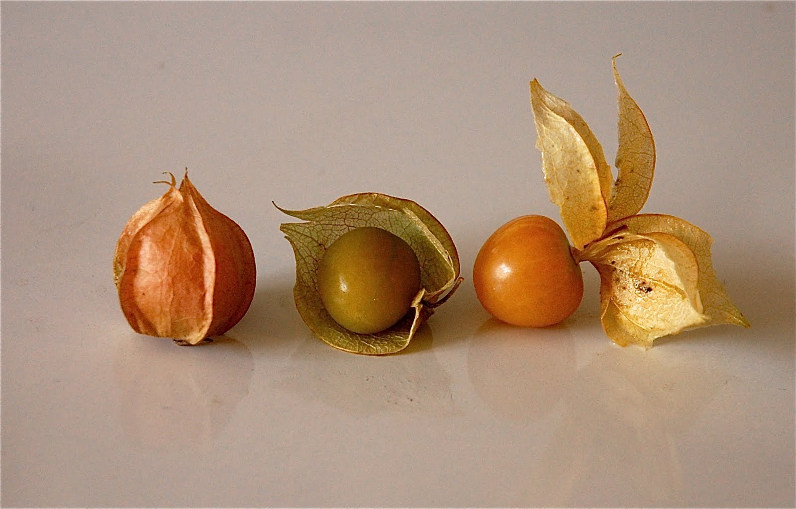 ground+cherry.jpg