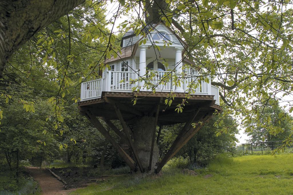 treehouse1-1024x683.jpg